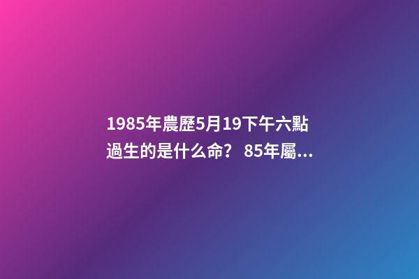 1985年農歷5月19下午六點過生的是什么命？ 85年屬牛女辰時出生命運怎樣，85年屬牛的人一生運程-第1張-觀點-玄機派